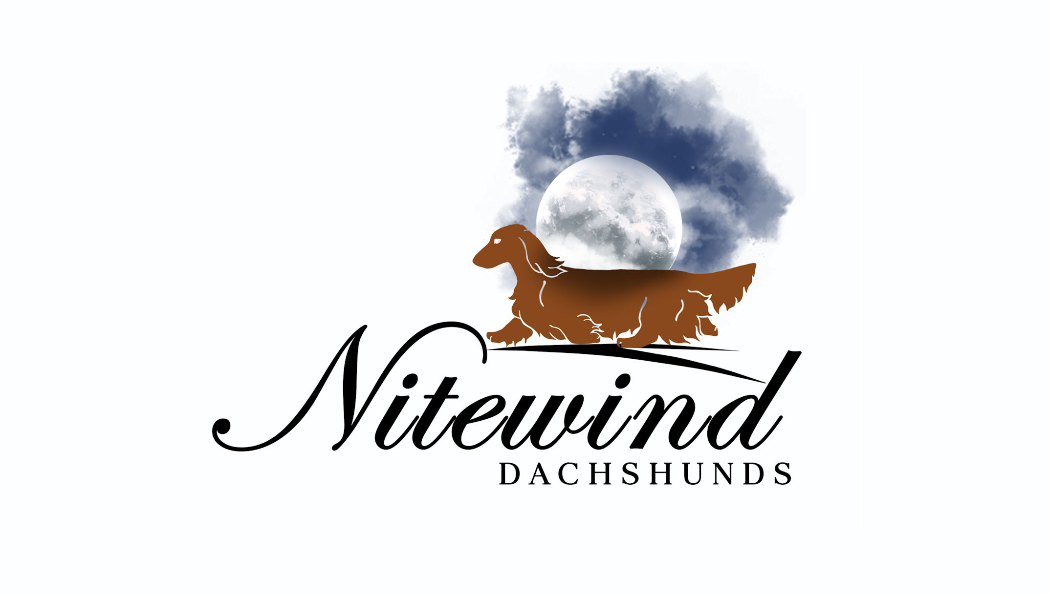 NITEWIND LOGO Borders Crop nitewind-logo-borders-crop